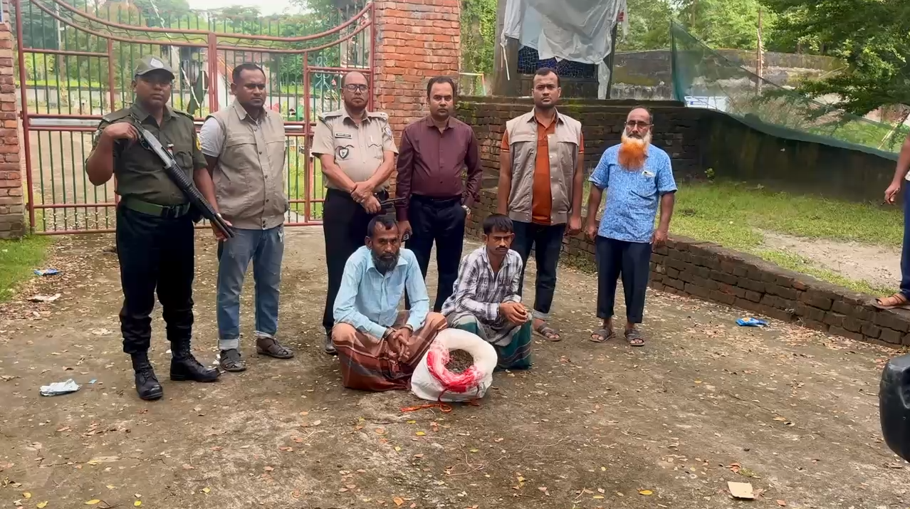 মোরেলগঞ্জে পৃথক মাদকবিরোধী অভিযানে ৪ কেজি গাঁজাসহ আটক ২